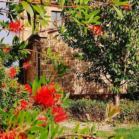 Passiontoscane * San Giovanni d'Asso