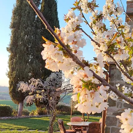 Dom wakacyjny Passiontoscane